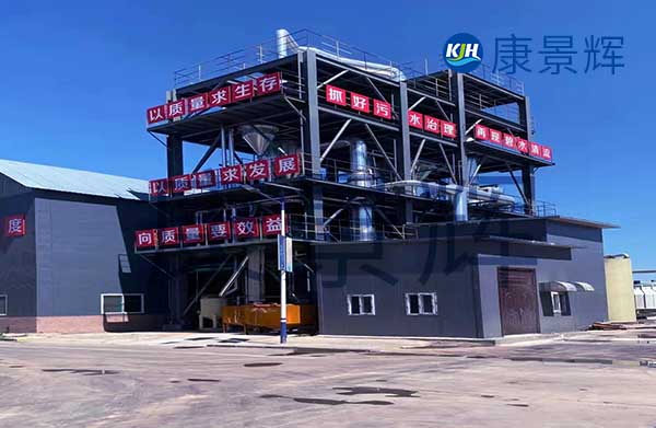 我需要采購mvr蒸發器，能處理硫酸鈉和硫酸銨廢水，一天300噸，有哪些廠家可以推薦給我