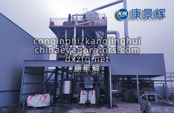 處理量10T/H硫酸鈉蒸發(fā)結(jié)晶器